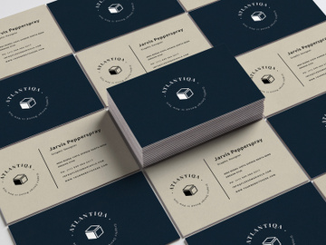 Designer Minimal Business Card Template preview picture