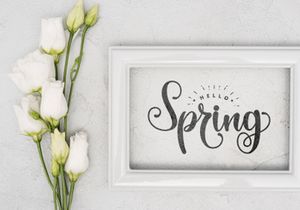 The Spring
