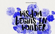 Hurtmore - Scribbles Font