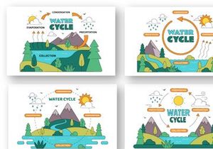 10 Water Cycle Illustration