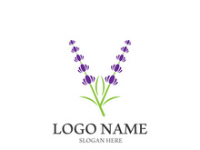 Fresh lavender flower logo vector flat design