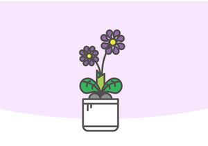 Indor Flower Vector Illustration