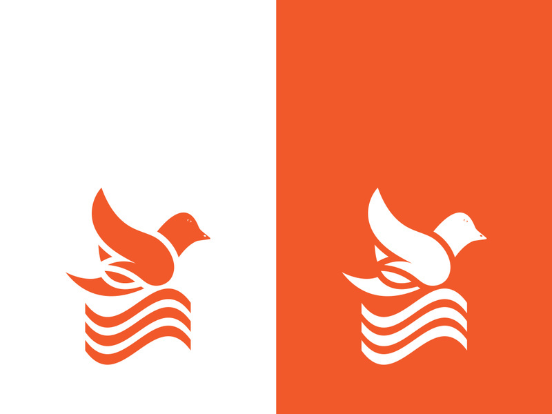 Dove bird logo vector design illustration