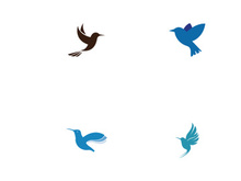 Creative colorful bird logo design.