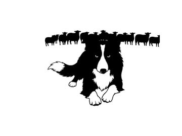 Border collie silhouette herding sheep illustration preview picture