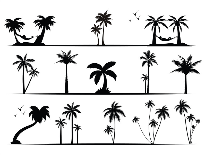 Palm Tree Collection and Silhouettes