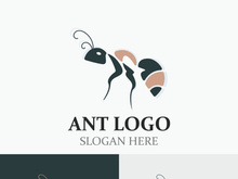 Ant logo design silhouette. Isolated animal ants on background design template vector