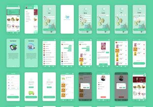 Grocery Delivery App