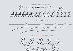 Schrödinger's | Signature Font