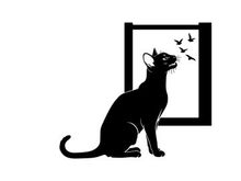 Black silhouette cat looking at birds through a window silhouette