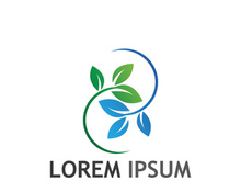 Natural green leaf logo.