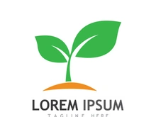 Natural green leaf logo.