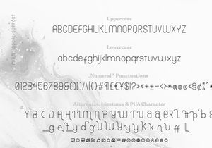 Trellacotte Modern Sans Serif Fonts