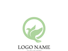 Dove bird logo vector design illustration