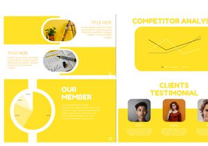 Shin Presentation Template