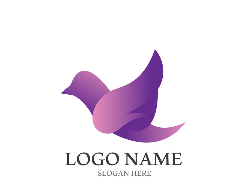 Dove bird logo vector design illustration