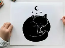 Sleeping cat silhouette under starry night sky