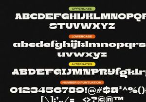 Bront-Olo – Retro Groovy Bold Font