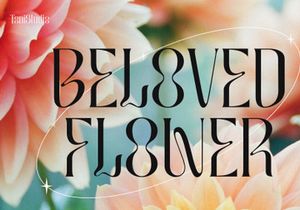 MOLIKA | Display Serif Typeface