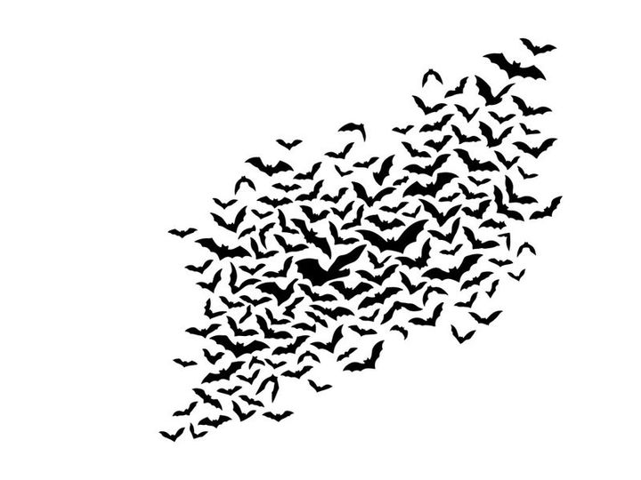 Flock of bats flying in the night sky for Halloween or wildlife scene