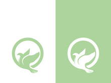 Dove bird logo vector design illustration