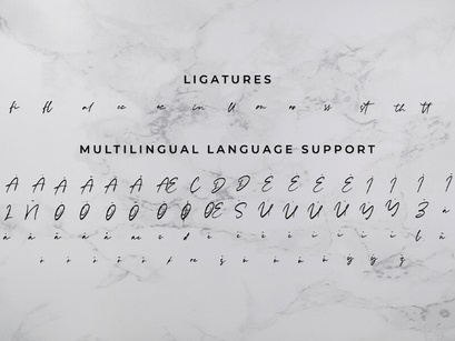 Rachelyne - Modern Calligraphy Font