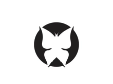 Butterfly icon design