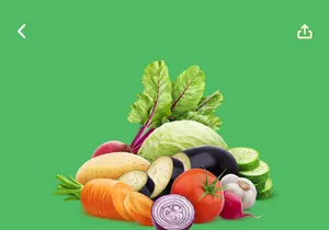 Grocery App Design