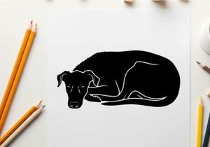 Silhouette of a sleeping dog curled up in a ball