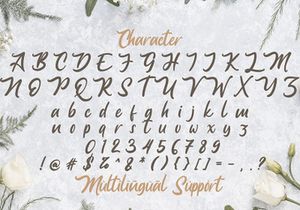 Anjelica Script - Bold Script Font
