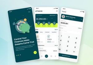 Payhub - Finance Mobile App
