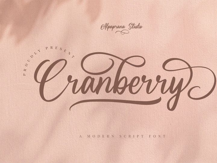 Cranberry - Modern Script Font