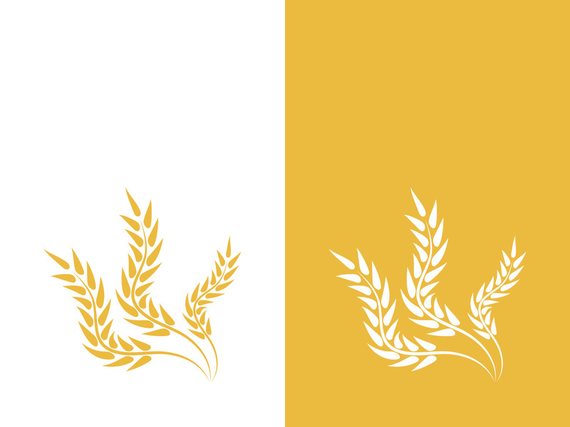 Wheat logo vector icon illustration design