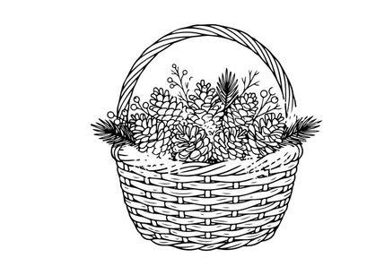 Hand drawn illustration of a wicker basket with pine branches