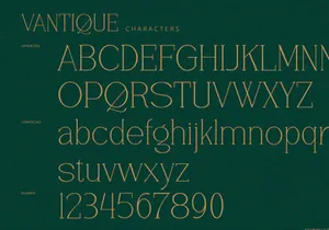 Vantique - Serif Font