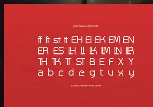 Fingard | Display Sans Serif