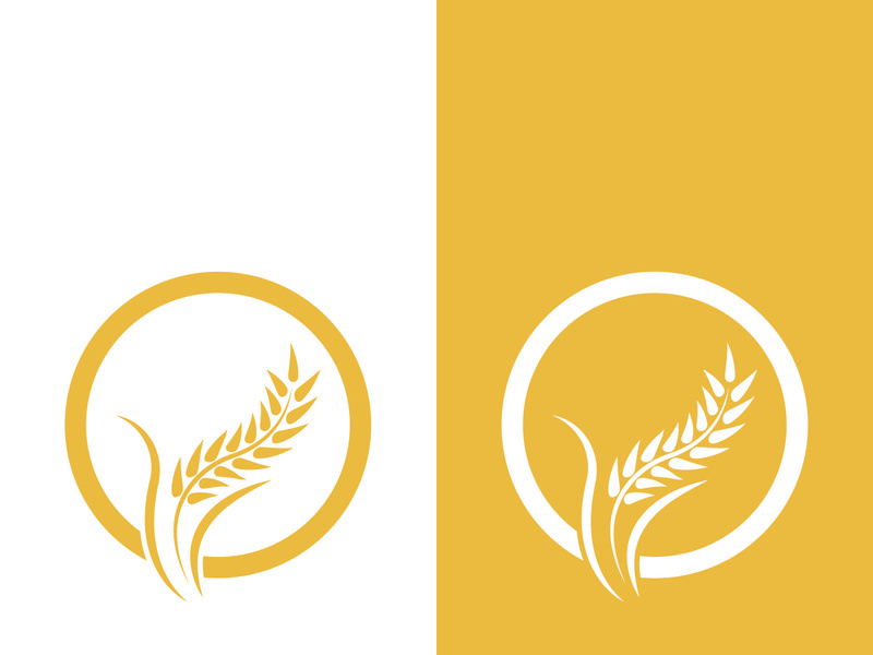 Wheat logo vector icon illustration design