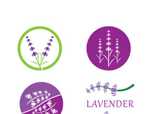 Lavender flower vector icon illustration design template