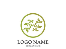 olive icon vector illustration design template