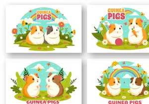 12 Guinea Pig Pets Illustration