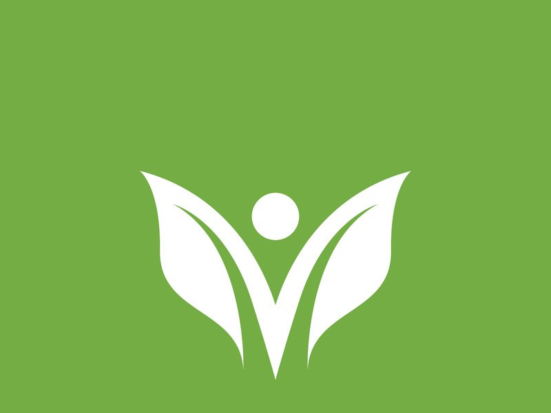 Leaf logo green nature vector image