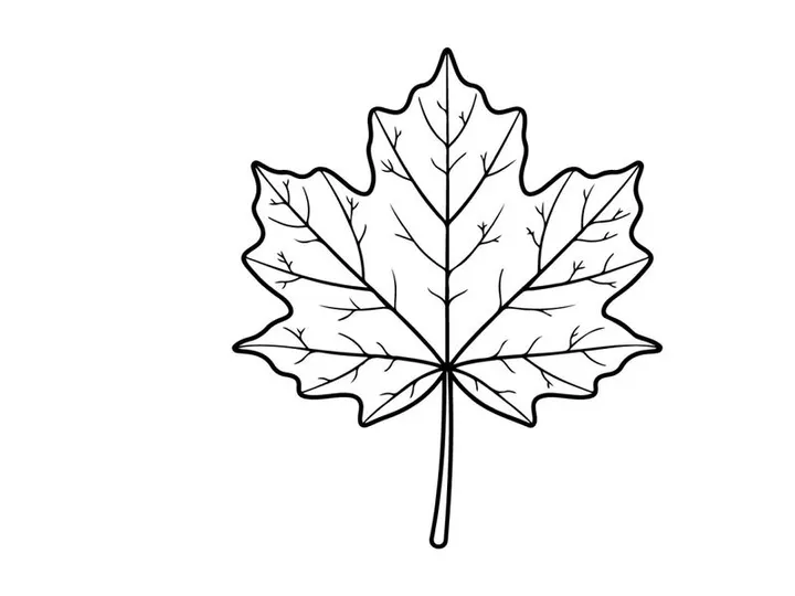 Ilustrasi daun maple yang detail. Gambar botani elegan untuk proyek desain