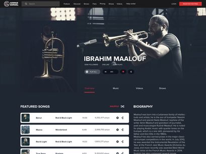 Profile website