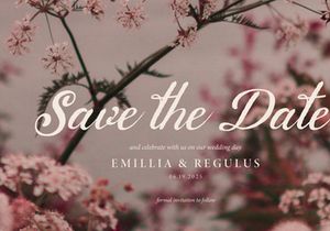 Calaris Deritta | Brush Handwritten Script