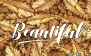 Denmahis Script Free Demo
