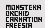 Derania – Free Display Font