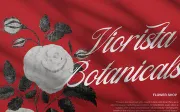 Filagio Vilantio | Classic Elegant Script