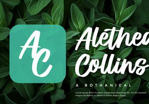 Prestiche - Bold Script