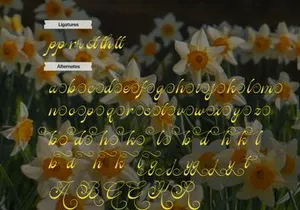 Rastiya Daffodil | Handwritten Script