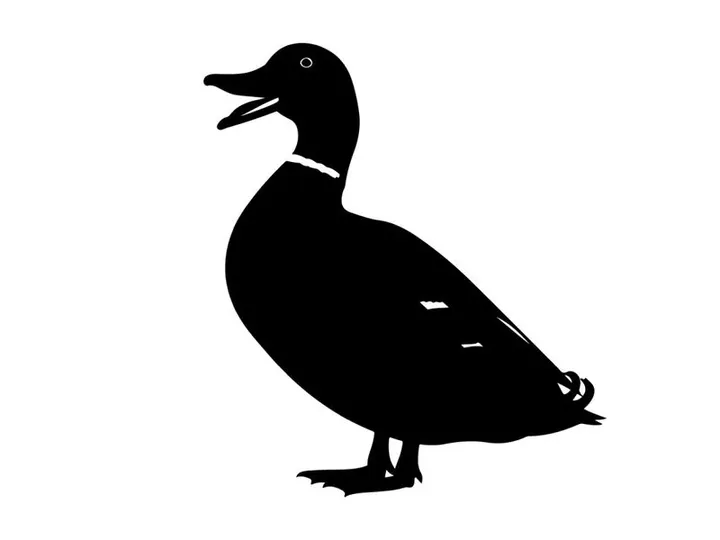 Silhouette of a duck with open beak on white background